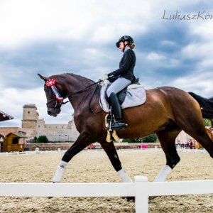 Magyar Díjlovagló és Fiatal Lovak Bajnokság 2017 (Lukasz Kowalski albuma)