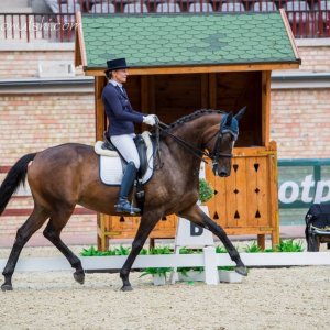 Magyar Díjlovagló és Fiatal Lovak Bajnokság 2017 (Lukasz Kowalski albuma)