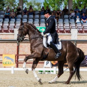 Magyar Díjlovagló és Fiatal Lovak Bajnokság 2017 (Lukasz Kowalski albuma)