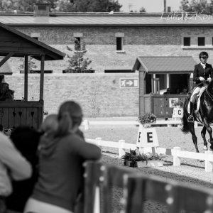 Magyar Díjlovagló és Fiatal Lovak Bajnokság 2017 (Lukasz Kowalski albuma)