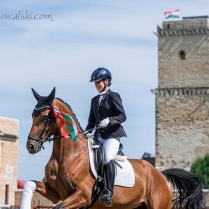 Magyar Díjlovagló és Fiatal Lovak Bajnokság 2017 (Lukasz Kowalski albuma)