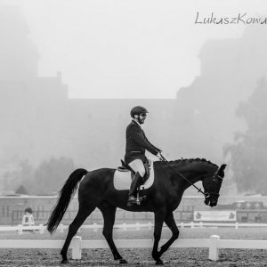 Magyar Díjlovagló és Fiatal Lovak Bajnokság 2017 (Lukasz Kowalski albuma)