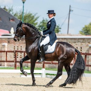 Magyar Díjlovagló és Fiatal Lovak Bajnokság 2017 (Lukasz Kowalski albuma)