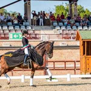 Magyar Díjlovagló és Fiatal Lovak Bajnokság 2017 (Lukasz Kowalski albuma)