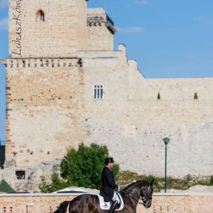 Magyar Díjlovagló és Fiatal Lovak Bajnokság 2017 (Lukasz Kowalski albuma)