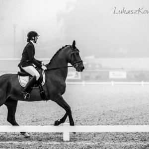 Magyar Díjlovagló és Fiatal Lovak Bajnokság 2017 (Lukasz Kowalski albuma)