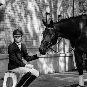 Magyar Díjlovagló és Fiatal Lovak Bajnokság 2017 (Lukasz Kowalski albuma)