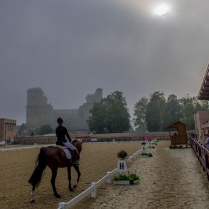 Magyar Díjlovagló és Fiatal Lovak Bajnokság 2017 (Lukasz Kowalski albuma)