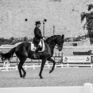 Magyar Díjlovagló és Fiatal Lovak Bajnokság 2017 (Lukasz Kowalski albuma)