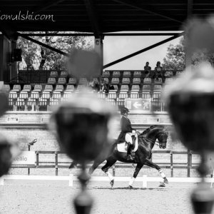 Magyar Díjlovagló és Fiatal Lovak Bajnokság 2017 (Lukasz Kowalski albuma)