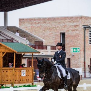 Magyar Díjlovagló és Fiatal Lovak Bajnokság 2017 (Lukasz Kowalski albuma)