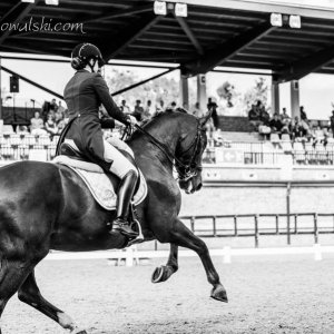 Magyar Díjlovagló és Fiatal Lovak Bajnokság 2017 (Lukasz Kowalski albuma)