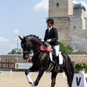 Magyar Díjlovagló és Fiatal Lovak Bajnokság 2017 (Lukasz Kowalski albuma)