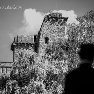 Magyar Díjlovagló és Fiatal Lovak Bajnokság 2017 (Lukasz Kowalski albuma)