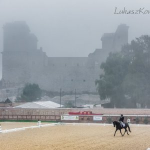 Magyar Díjlovagló és Fiatal Lovak Bajnokság 2017 (Lukasz Kowalski albuma)